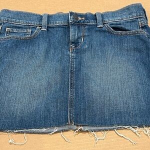 Blue Jean Skirt